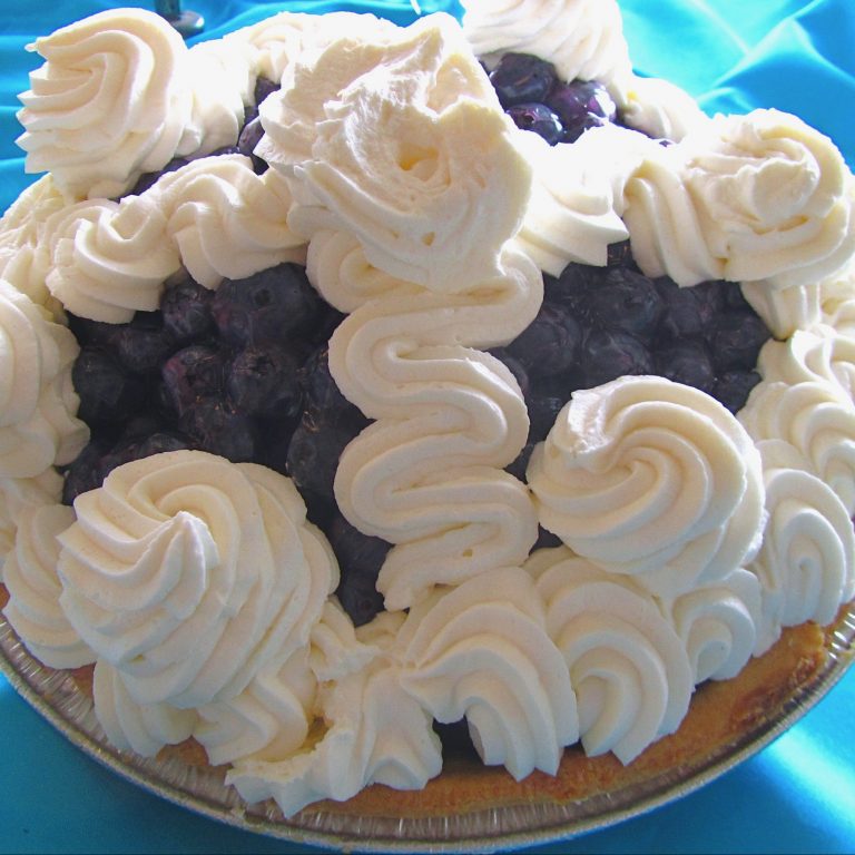 Blueberry WC Pie - August 2011